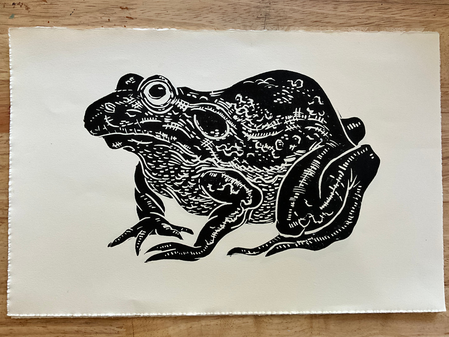 Black frog