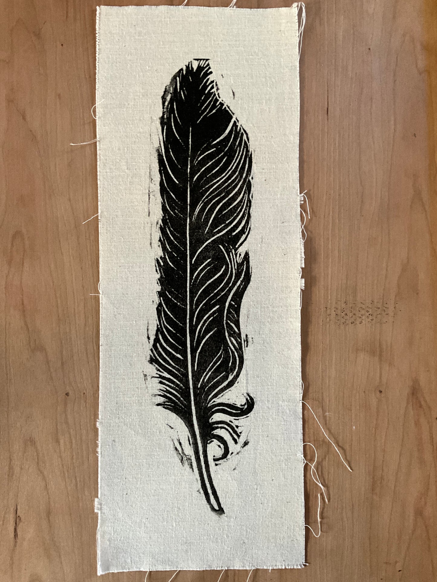 Crow flight feather