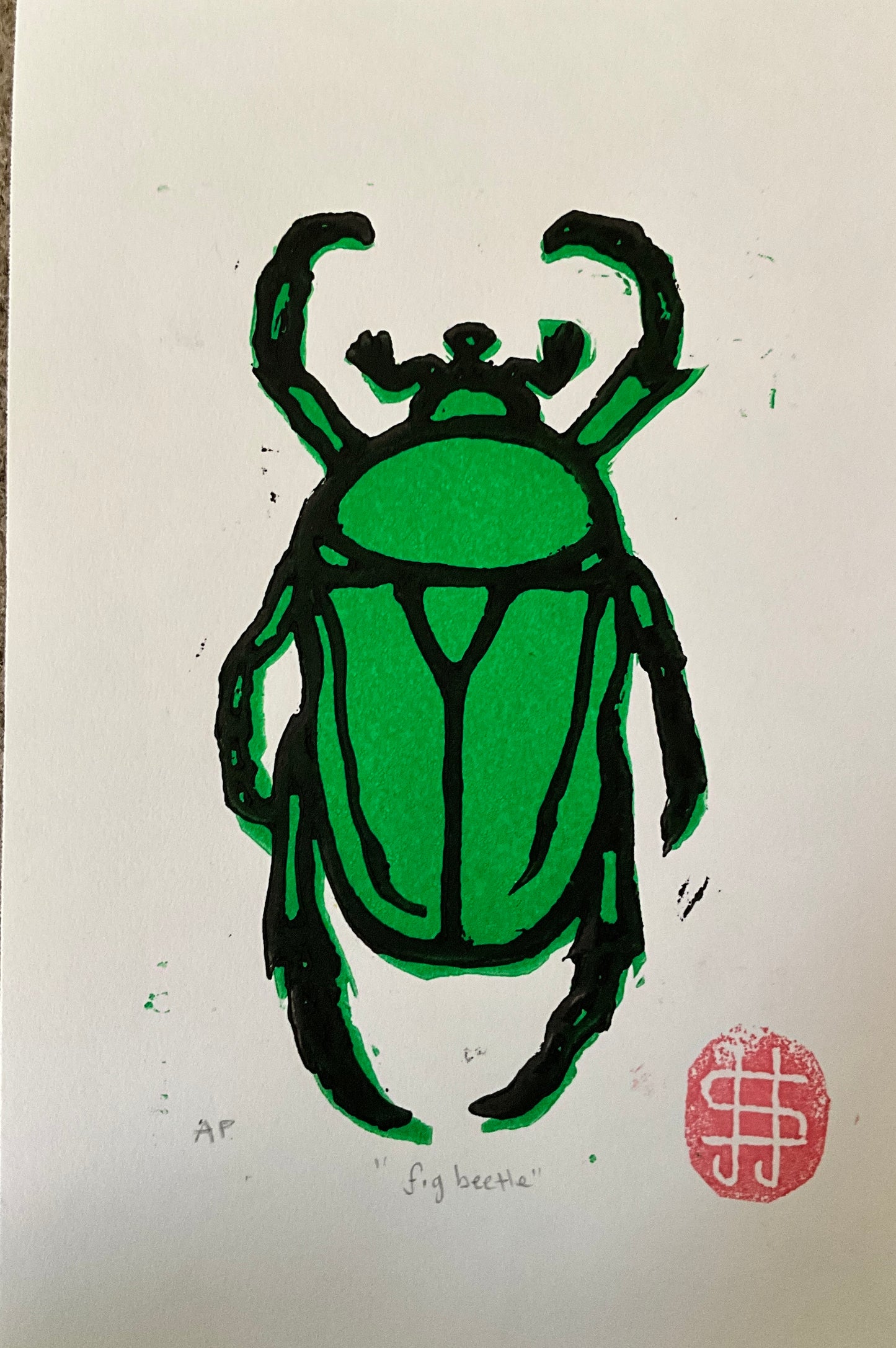 Beetle 2 color print