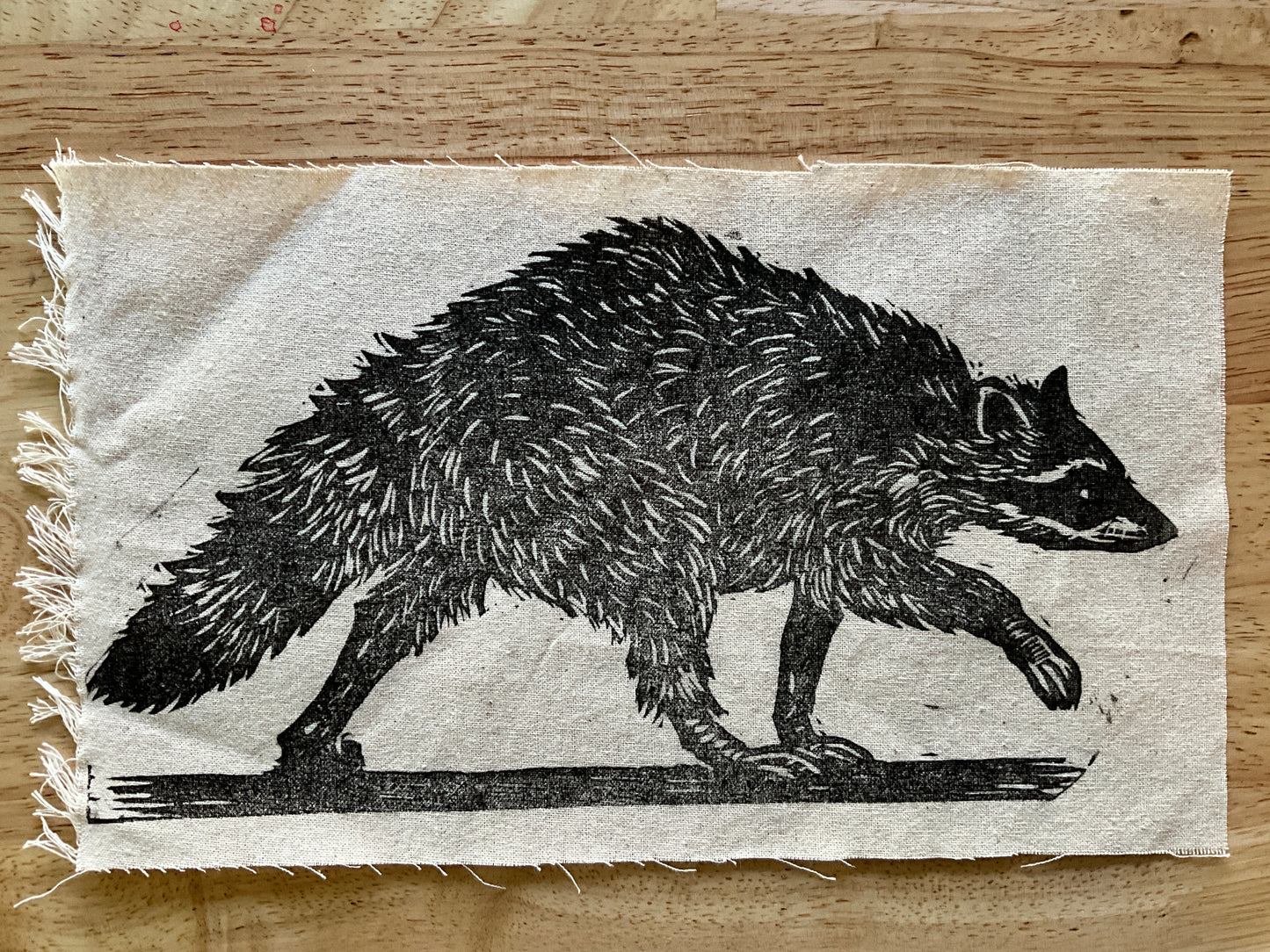 Raccoon Patch