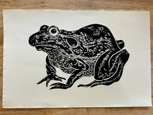 Black frog