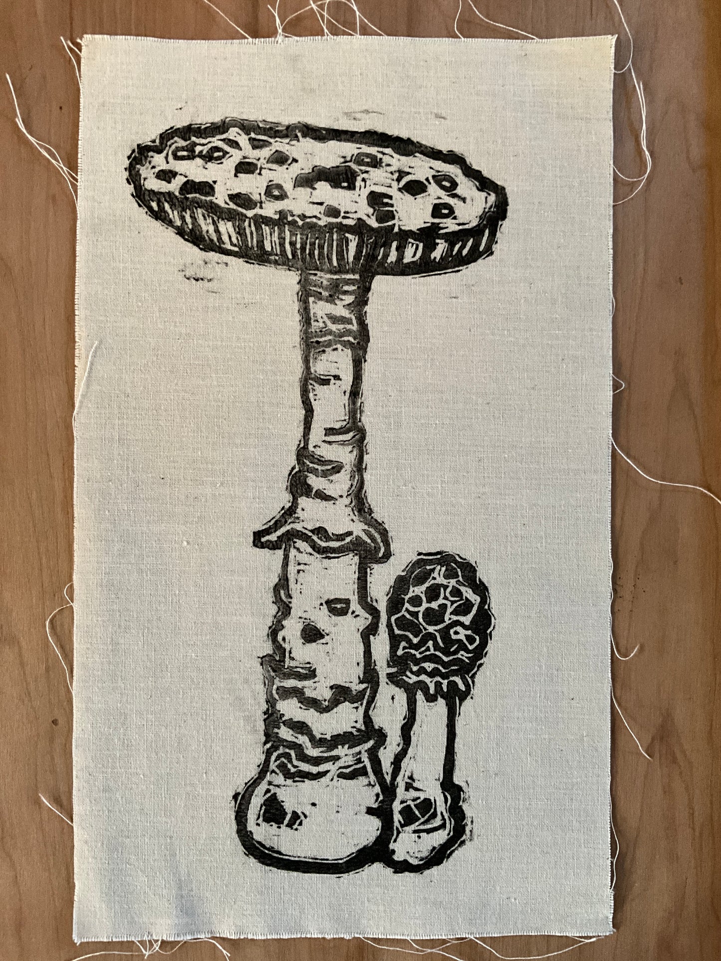 Mushrooms fungus patch