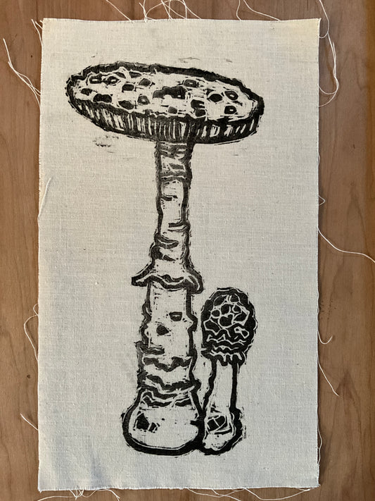 Mushrooms fungus patch