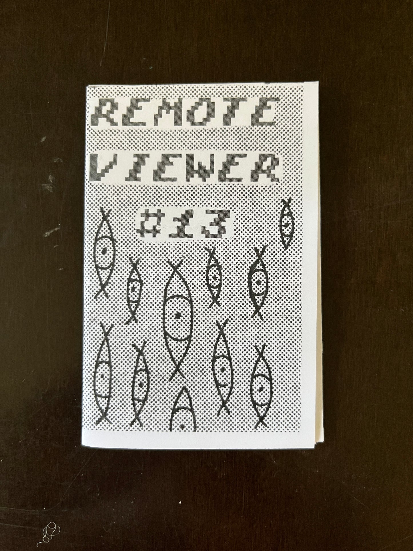 Remote Viewer #13