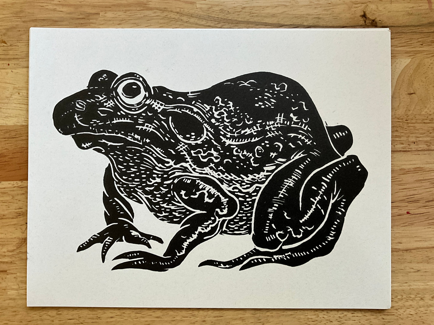 Black frog off white paper