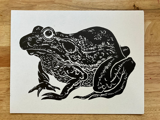 Black frog off white paper