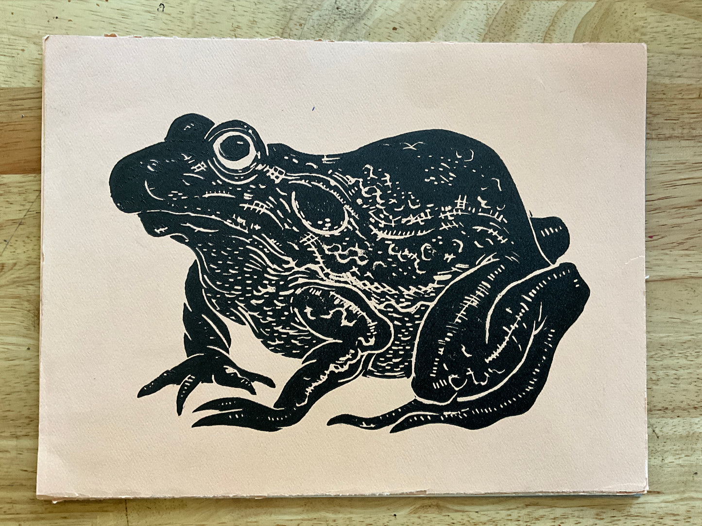 Black frog on pink paper