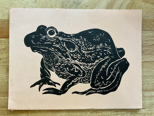 Black frog on pink paper